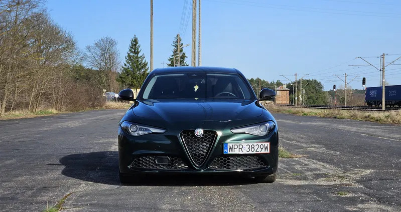 alfa romeo mazowieckie Alfa Romeo Giulia cena 99900 przebieg: 41200, rok produkcji 2020 z Pruszków